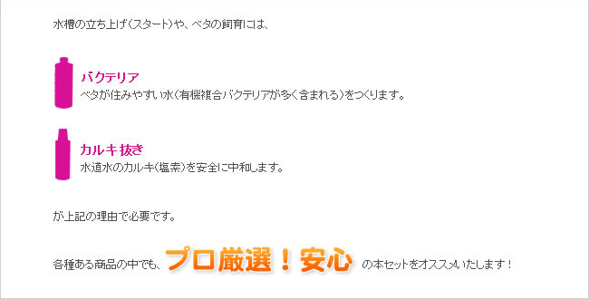 各種ある商品の中でも、プロ厳選！安心の本セットをオススメいたします！