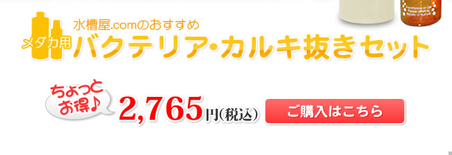 【水槽屋.comおすすめ】メダカ用バクテリア・カルキ抜きセット　ちょっとお得♪2,765円（税込）ご購入はこちら