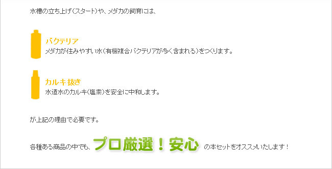 各種ある商品の中でも、プロ厳選！安心の本セットをオススメいたします！