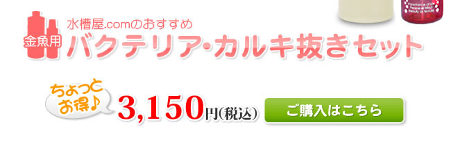 【水槽屋.comおすすめ】金魚用バクテリア・カルキ抜きセット　ちょっとお得♪3,150円（税込）ご購入はこちら