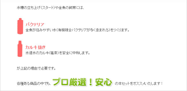 各種ある商品の中でも、プロ厳選！安心の本セットをオススメいたします！