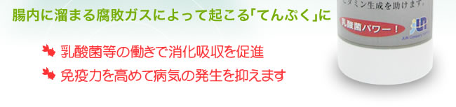 腸内に溜まる腐敗ガスによって起こる「てんぷく」に、乳酸菌の働きで消化吸収を促進、免疫力を高めて病気の発生を抑えます