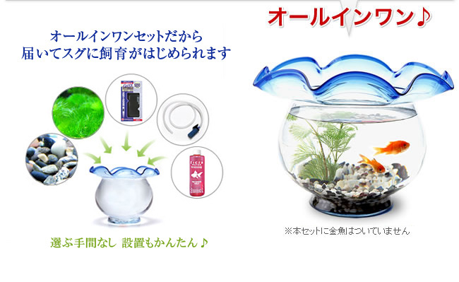 金魚鉢 金魚鉢 販売