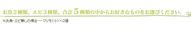 お魚４種類、エビ３種類、合計７種類の中からお好きなものをお選びください。※お魚・エビ無しの場合・・・マリモ（小）×２個