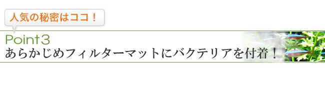 Point3　バクテリアを付着させています