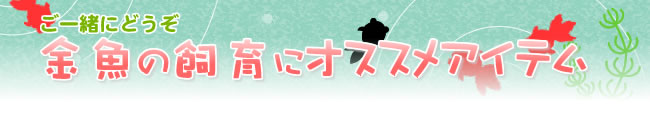 ご一緒にどうぞ　金魚の飼育にオススメアイテム