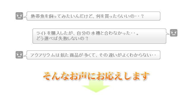 そんなお声にお応えします