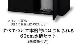 すべてついて‘本格的’にはじめられる60cm水槽セット