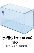 水槽（ガラス60cm）：コトブキ レグラスR-600S