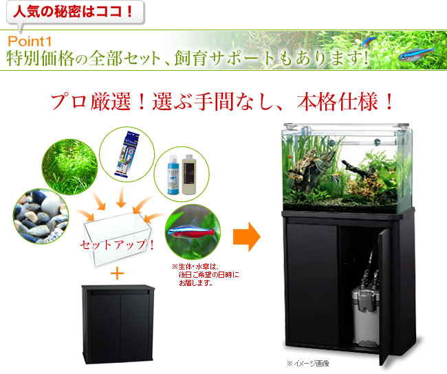 Point１　特別価格の全部セット、飼育サポートもあります！