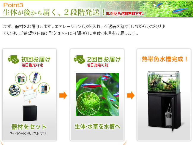 生体が後から届く、２段階発送！※２回とも送料無料です