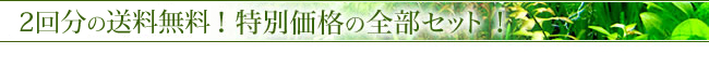 特別価格の全部セット！