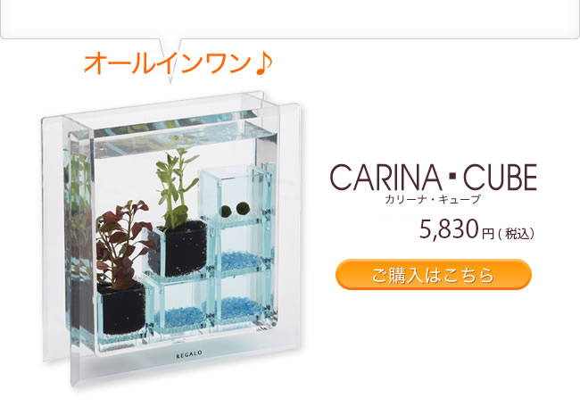 カリーナ・キューブ　5,830円（税込）　ご購入はこちら