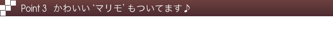 Point3　かわいい‘マリモ’もついてます♪