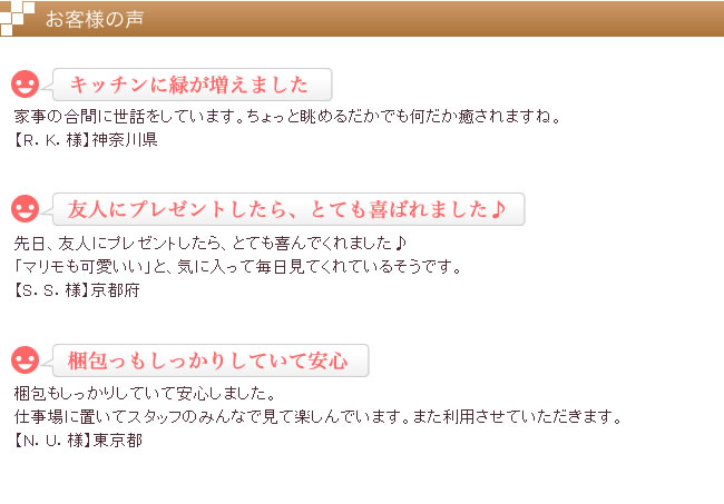 お客様の声