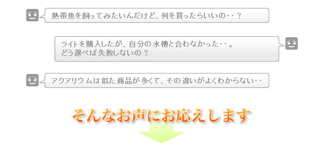 不安なお声にお応えします