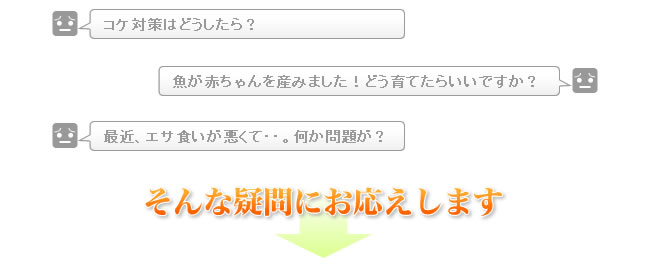 そんな疑問にお応えします