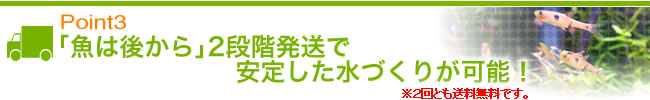 Point3 「魚は後から」２段階発送で安定した水づくりが可能！※２回とも送料無料です。