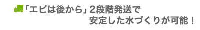 「エビは後から」2段階発送で安定した水づくりが可能！