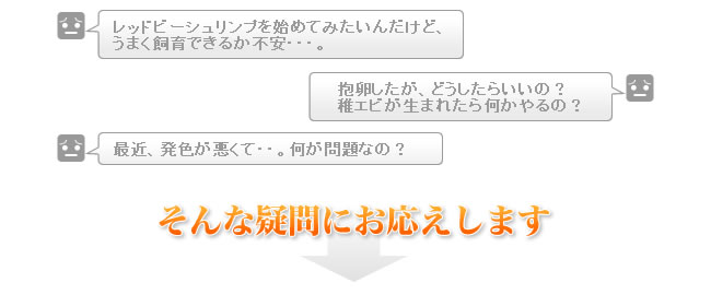 そんな疑問にお応えします