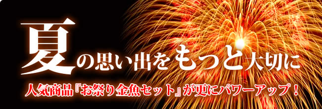 夏の思い出をもっと大切に　人気商品「お祭り金魚セット」が更にパワーアップ！