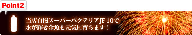 【Point2】当店自慢スーパーバクテリアJF-10で水が輝き金魚も元気に育ちます！