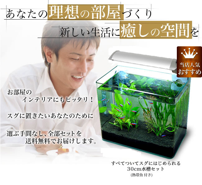 あなたの「理想の部屋」づくり 新しい生活に「癒しの空間」を【送料無料】すべてついてスグにはじめられる30cm水槽セット