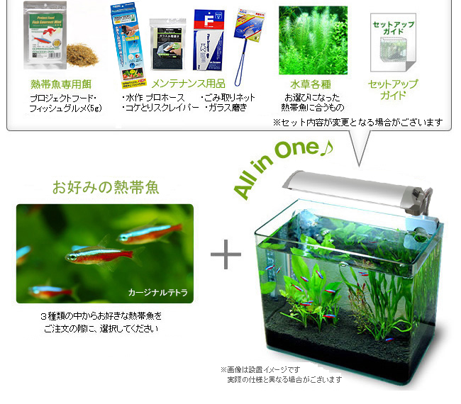 水槽セットの内容その2