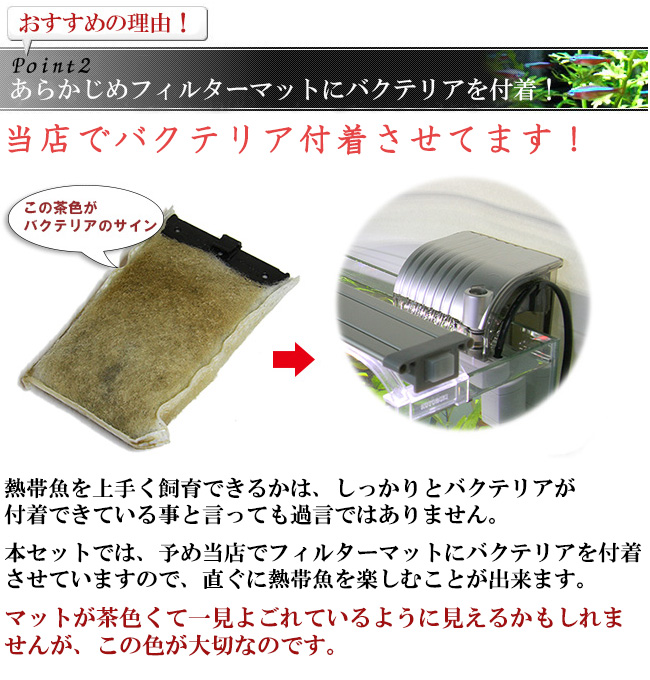 Point2　バクテリアを付着させています