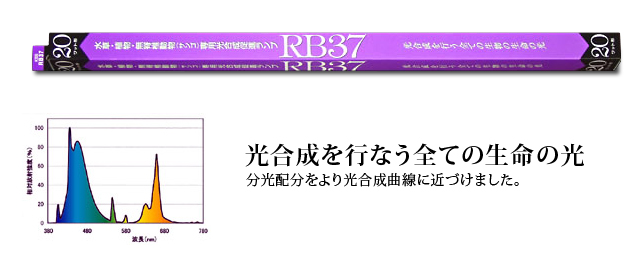 KSS RB-37