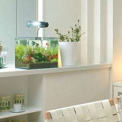 コトブキ レグラスR-300 （小型水槽）