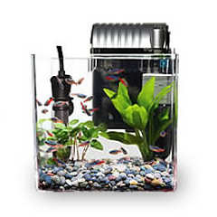 熱帯魚セット 水槽セット