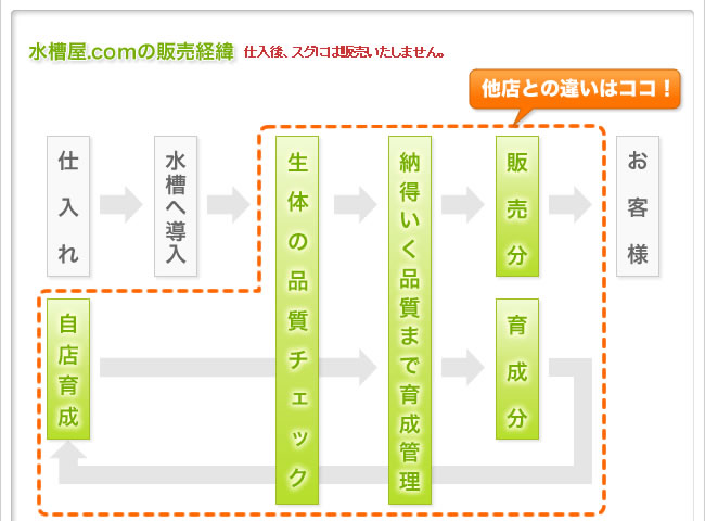 水槽屋.comの販売経緯：仕入れ後、スグには販売いたしません。